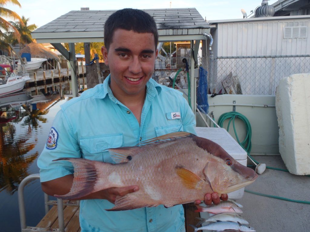 Florida Keys Hogfish and Grouper