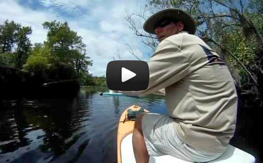 Paddleboarding in the Loxahatchee