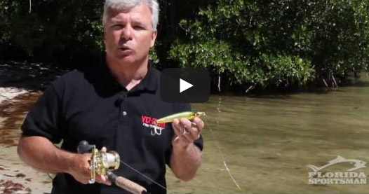 Walking the Dog: How to Work a Walk-the-Dog Style Lure | FS Seminar