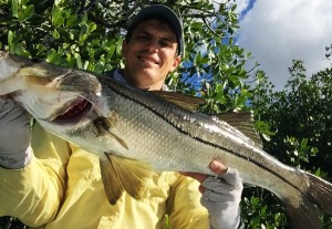 Everglades Snook on Fly