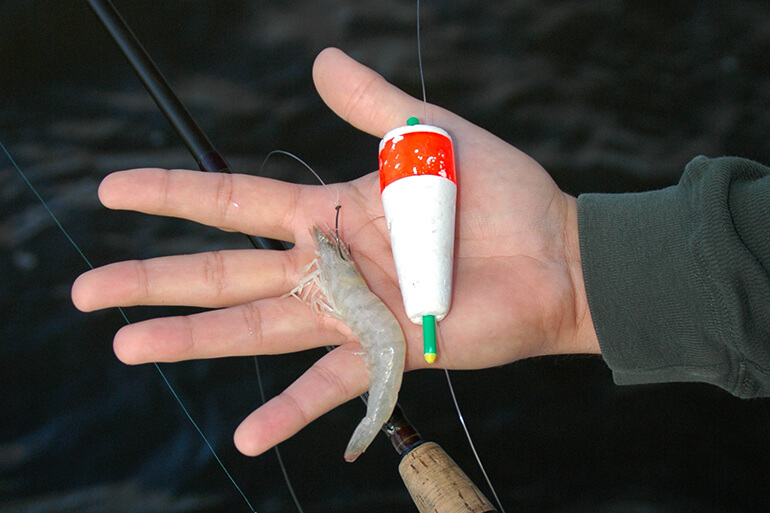 Top 10 Rigs for Florida Fishing