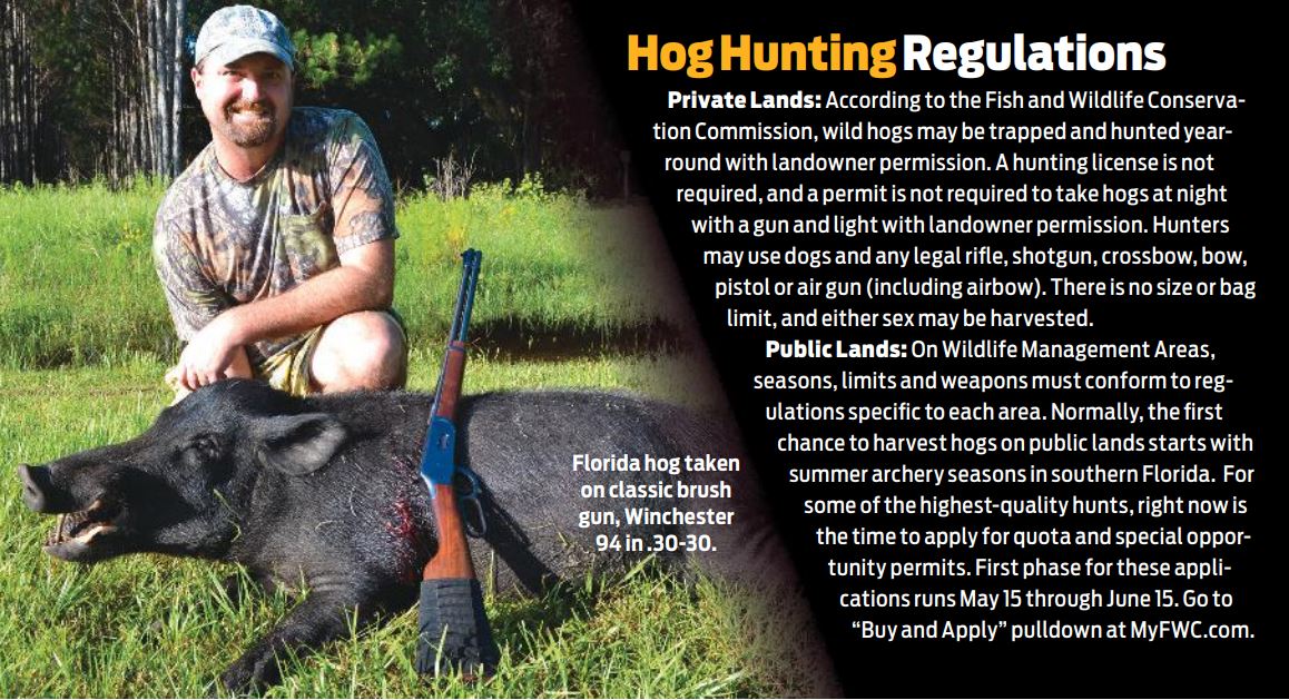 rifles for hunting hogs