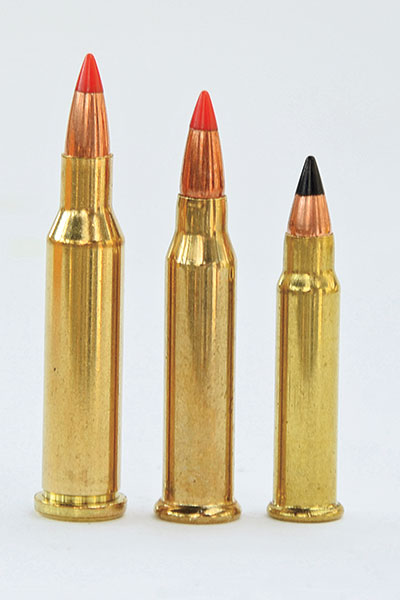 Super Mag. (c.) is faster than the .17 HMR (r.) but slower than .17 Hornet ...