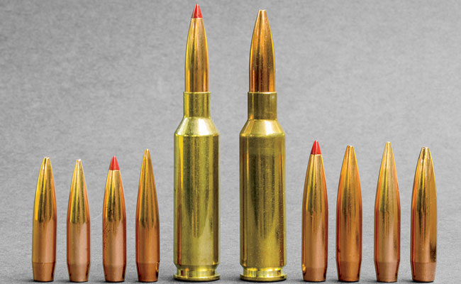 Creedmoor-Cartidges