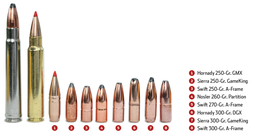 Cartridge Debate: .375 Ruger vs. .375 H&H Magnum - Shooting Times.