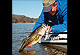 Arkansas' 2010 Fishing Calendar