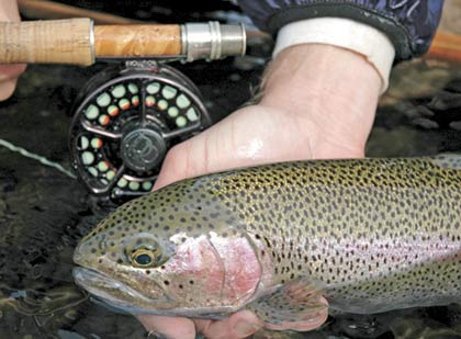 5 Small Lake Picks For New Jersey Trout - Game & Fish