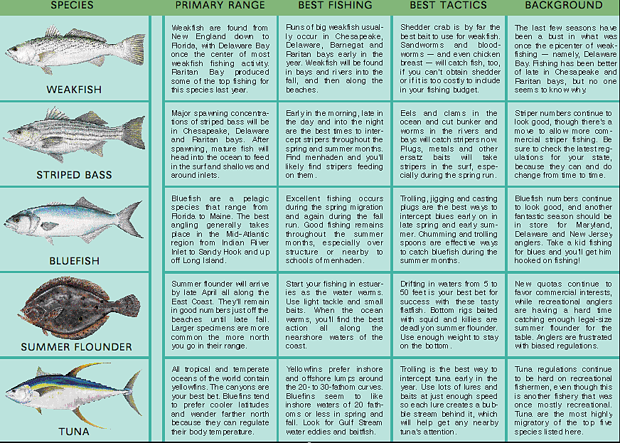 Mid-Atlantic 2006 Fishing Calendar