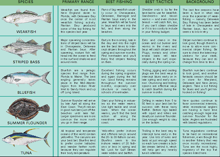 Mid-Atlantic 2006 Fishing Calendar - Game & Fish