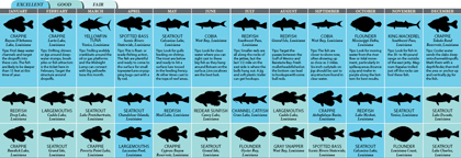 Louisiana 2011 Fishing Calendar Game Fish