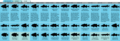 Minnesota's 2011 Fishing Calendar