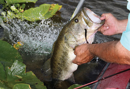 Oklahoma's Best Bass Fishing for March - Game & Fish