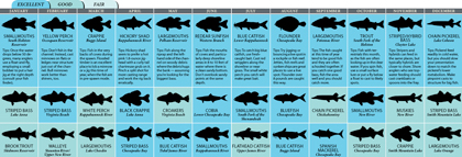 Virginia's 2011 Fishing Calendar