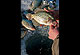 2010 Great Plains Fishing Calendar