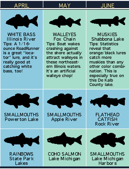 Illinois Fish Chart