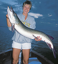 Illinois' Best Bets For Muskies