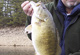 Assessing Our State's Bass Management