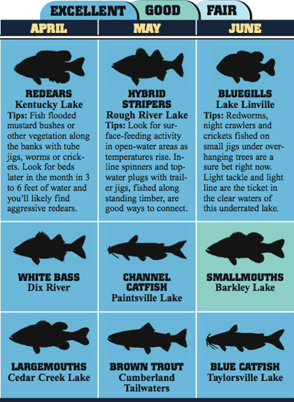 2008 Kentucky Fishing Calendar