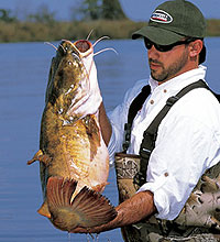 5 Picks For Kentucky's Big-River Catfish