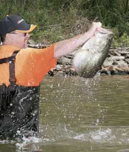 Where To Find Kentucky's Excellent Bassing