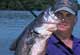 Blue Cat Bonus Fishing On Taylorsville Lake
