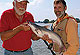 Louisiana Catfish North To South