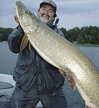 Michigan's Best Bets For Muskies