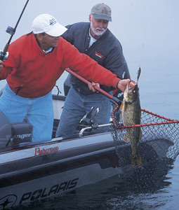 Michigan&apos;s Fall Fishing Smorgasbord