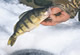 Minnesota&apos;s Best Bets For Fishing