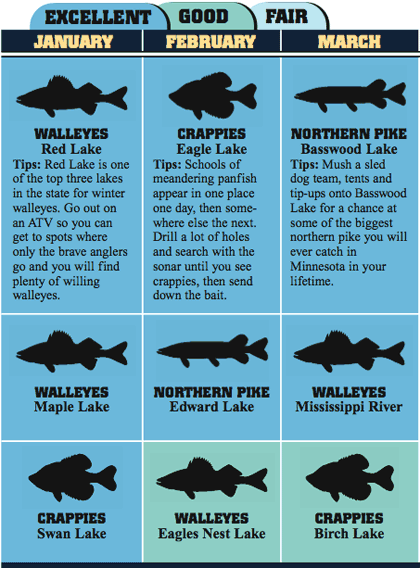 Minnesota&apos;s Best Fishing Trips For 2008