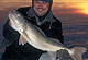 8 Hardwater Hotspots For Last-Chance Walleyes
