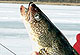 Hunting Down Minnesota's Hottest Ice-Fishing