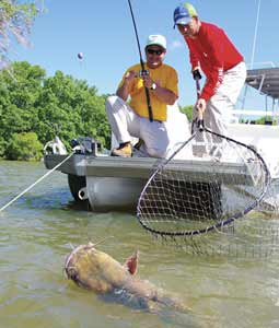 Off The Main Channel For Missouri Cats