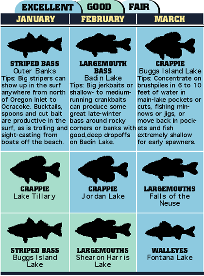 36 Top Fishing Choices In North Carolina - Game & Fish
