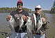 Expert Tips On 3 Top Crappie Lakes