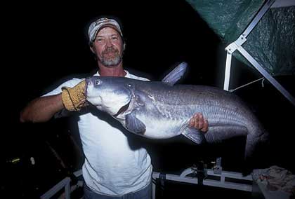 Carolina Trophy Catfish -- Expert Tips