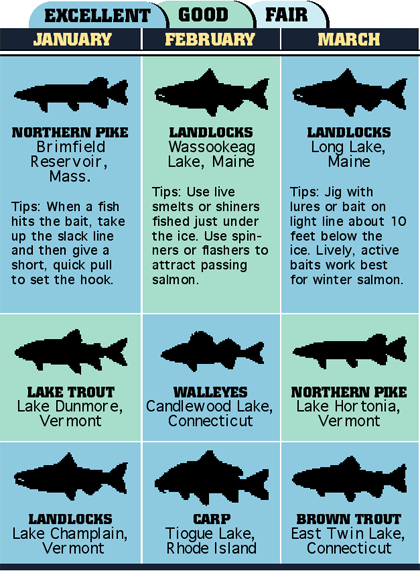New England's 2007 Fishing Calendar - Game & Fish