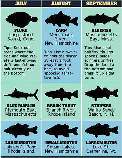 New England's 2007 Fishing Calendar