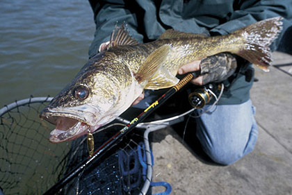 Our State's Top Five Spring Walleye Waters