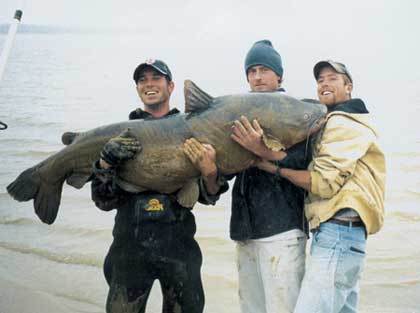 Huge Catfish Caught on Jug Lines - 100 Pounds of Catfish Catch - New Best  Catfish Bait 