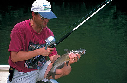 Five Can't-Miss Channel Catfish Baits - Game & Fish