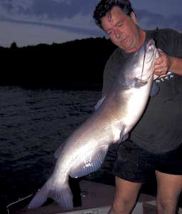 Tips For Catching Channel Cats At Night - Game & Fish