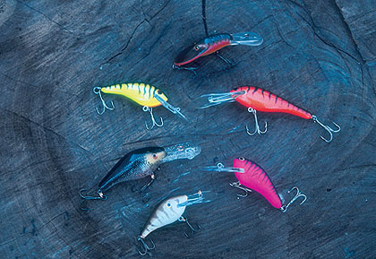 The Best Shad Imitation Baits For The Fall Transition! 