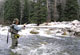 Spring Angling on Colorado's Roaring Fork River