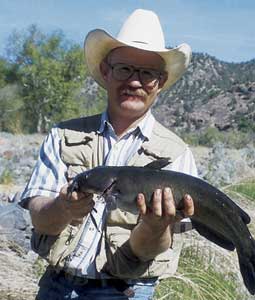 New Mexico Catfish Roundup 2007