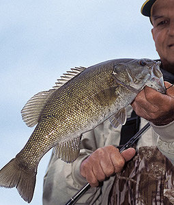 Tennessee&apos;s 2006 Smallmouth Fishing Forecast