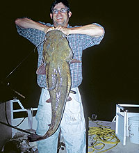 Tennessee S Best Catfish Angling