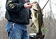 Virginia's Largemouth Bass Forecast For 2009