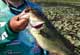 Expert Tips On Fishing Potomac Largemouths