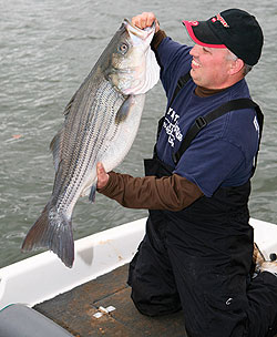 The Lightweight Bucktail: Top Tips For Back Bay Stripers - The